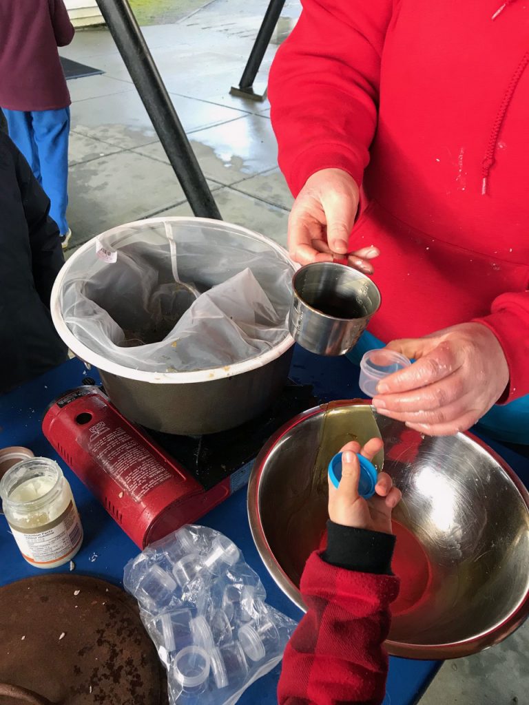 Making spruce salve